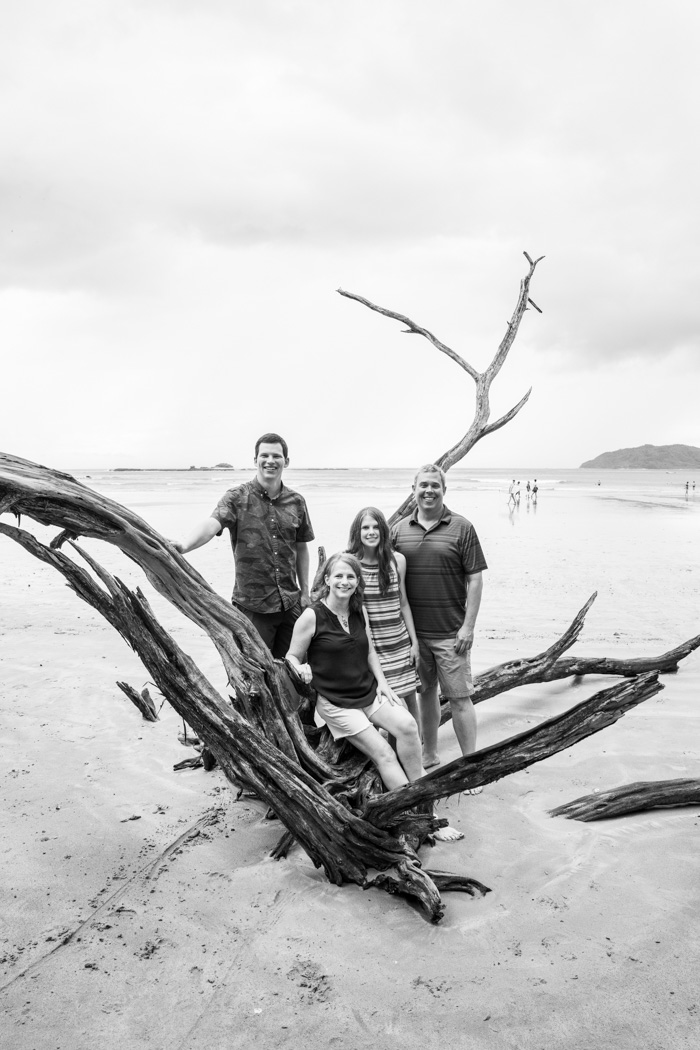 Black and white family portrait photography in Tamarindo, Costa Rica. A family of four in standing and leaning on a dead tree on the beach.